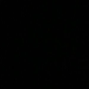 Meet your Posher, Amara